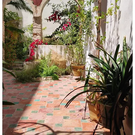 La Baraka Apartamento